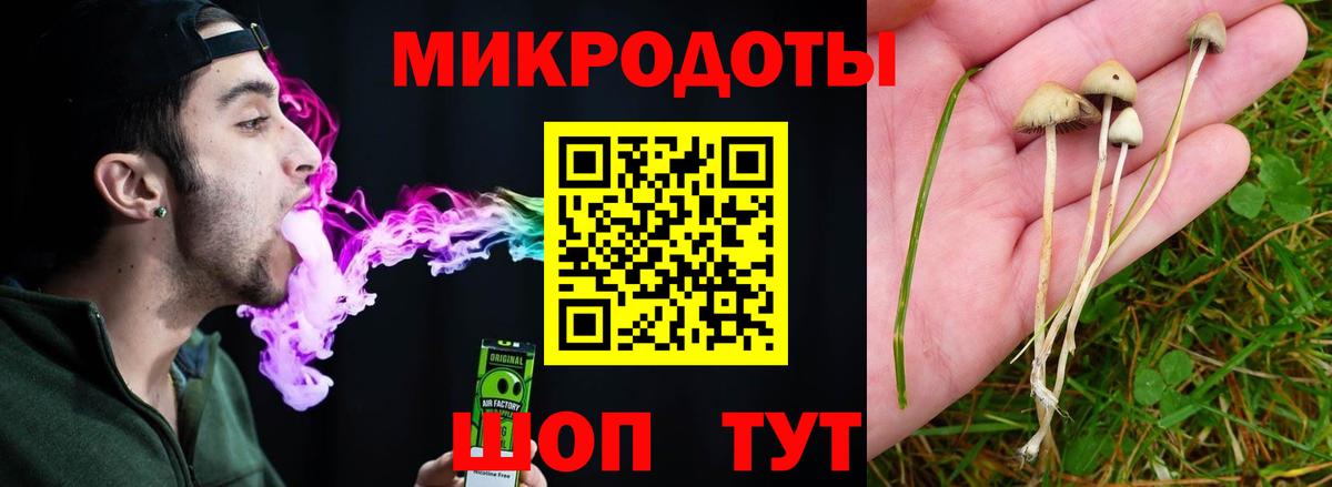 дарнет шоп  Псилоцибиновые грибы мухоморы  Вход с VPN  Карпинск 